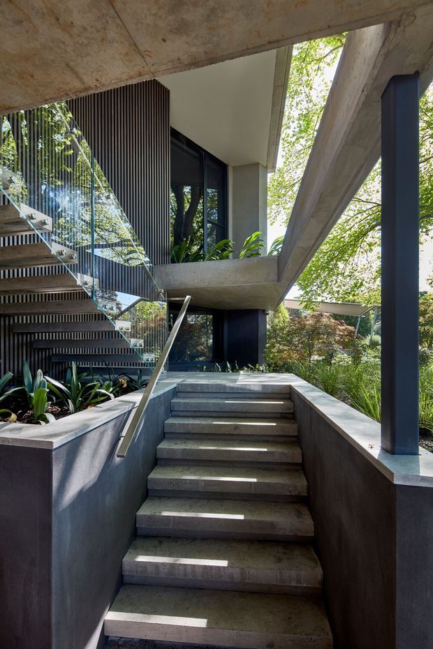 Architectural view of a contemporary multi-level interior courtyard or stair hall, focused on a broad concrete staircase with a slim metal handrail. Exposed concrete beams and soffits frame black-framed glazing, dark vertical timber or metal screening, and lush planting integrated around the stair. Strong indoor-outdoor connection, abundant natural light, and layered structural elements create a dramatic modern composition.