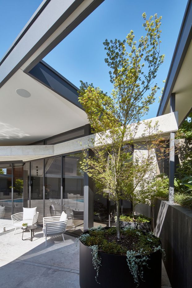 A bright contemporary courtyard adjoining a modern residence, viewed from an outdoor paved terrace. The space features crisp white rendered planes, dark-framed floor-to-ceiling glazing, a concrete projecting beam, and an open roof void framing the blue sky. Large black planters with a slender tree and cascading greenery soften the architecture, while white outdoor lounge chairs occupy the terrace. A swimming pool is partially visible through the glazing.