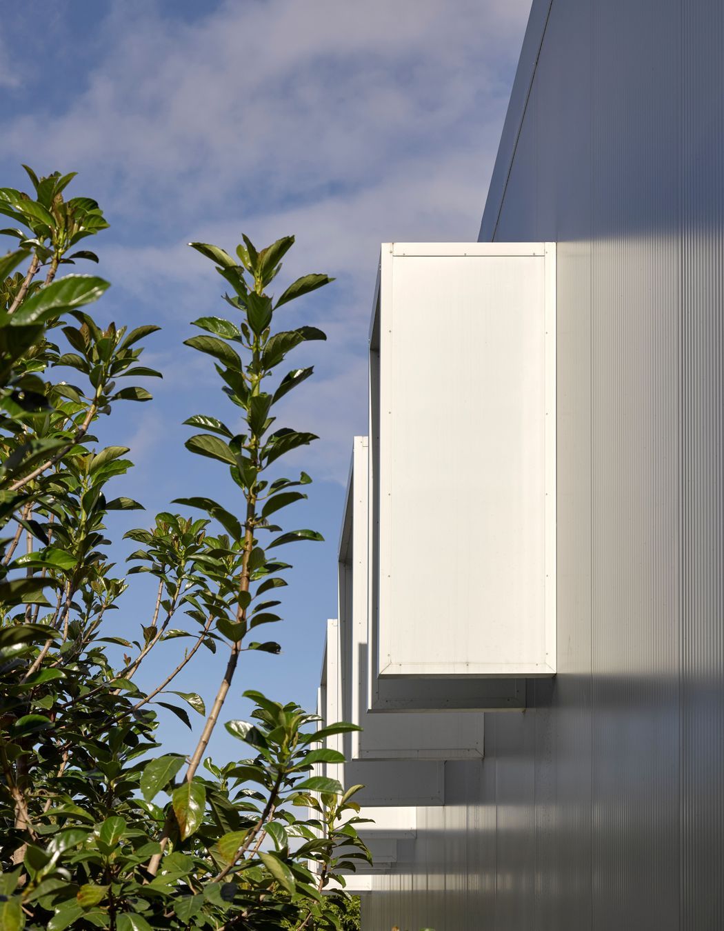 Photography: Christopher Frederick Jones