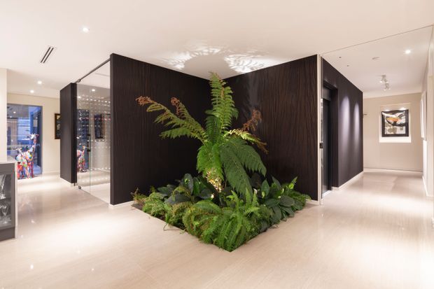 A bright, polished interior gallery or entry space with a dramatic central indoor planting bed surrounded by lush ferns and foliage. Dark vertically grained timber feature walls form a sculptural partition around the greenery, with glass display cabinetry or doors to the left and a light neutral corridor extending to the right. The space has pale glossy flooring, recessed ceiling lighting, minimal detailing, and a refined contemporary feel.