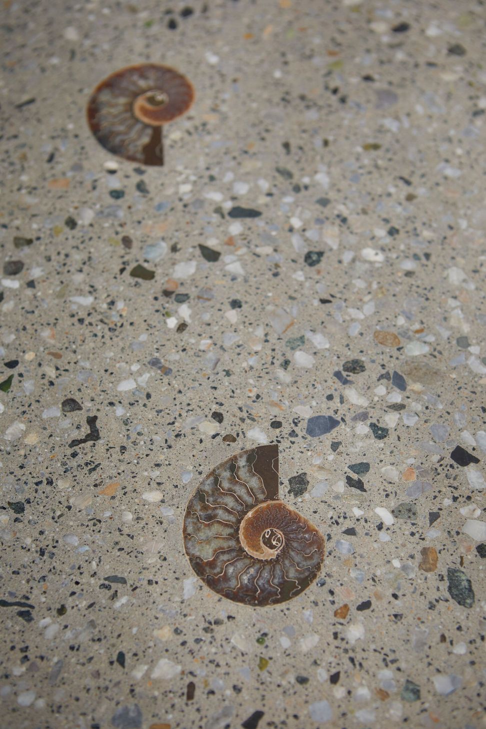 230912WallabyHillProject0026-scaled.jpg