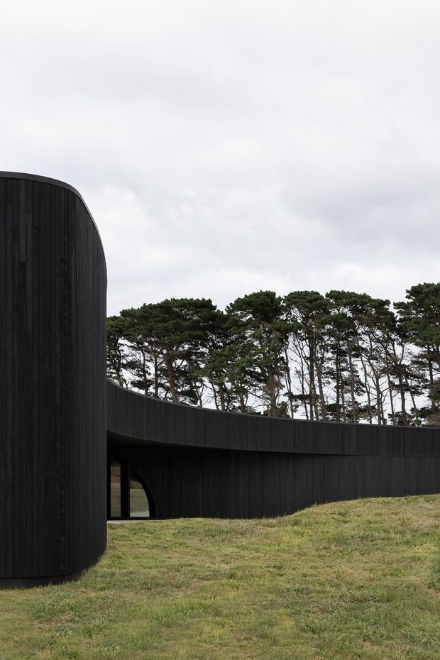 Exterior architectural photograph of a sculptural, curved building set within a grassy landscape. The facade is clad in dark, vertically ribbed timber boards, forming a tall rounded volume at left and a long sweeping curved wall across the frame. A small dark-framed glazed opening sits beneath the curved wall, with mature wind-shaped trees behind it and an overcast sky.