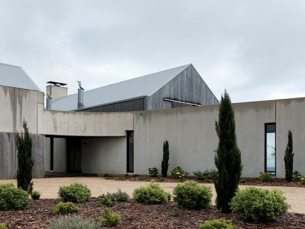 Exterior view of a contemporary low-rise residence with smooth raw concrete-toned walls, narrow vertical windows, and a sheltered entry or covered walkway. A large pitched corrugated metal roof and weathered vertical timber-clad gable rise behind the flat parapet walls. The front landscape uses gravel, mulch, clipped shrubs, and slender evergreen trees under an overcast sky.