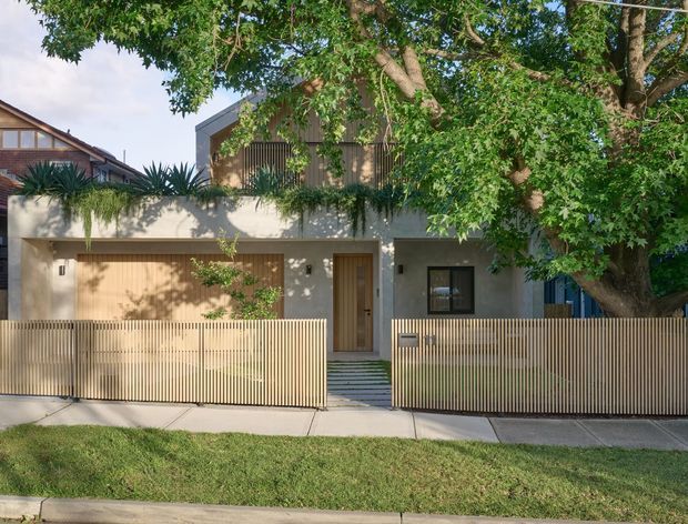 Street-facing view of a contemporary two-storey urban residence with a textured light-grey facade, warm timber garage door and entry door, upper-level timber screening, and a slatted timber front fence. Mature tree canopy and planted greenery partially shade the building, with a narrow paved entry path and suburban grass verge in front.