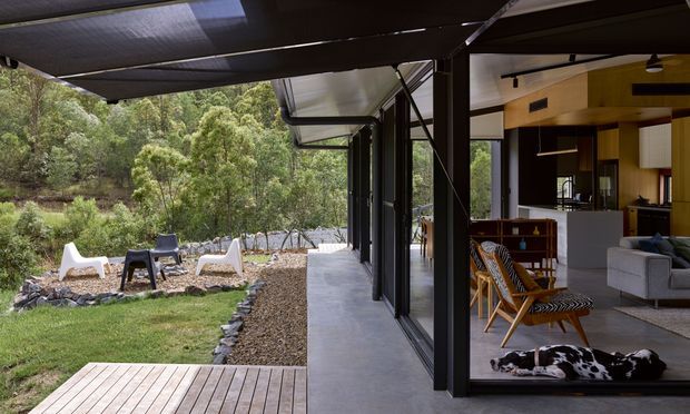 A modern indoor-outdoor living space opening onto a landscaped bush setting. The image shows a covered terrace with dark steel framing, extensive glazed sliding doors, a concrete walkway, and a timber deck. Through the open glazing is a warm timber-lined living and kitchen area with a grey sofa, mid-century-style chairs, and a black-and-white dog. The surrounding landscape includes lawn, gravel, rocks, and native-looking trees.