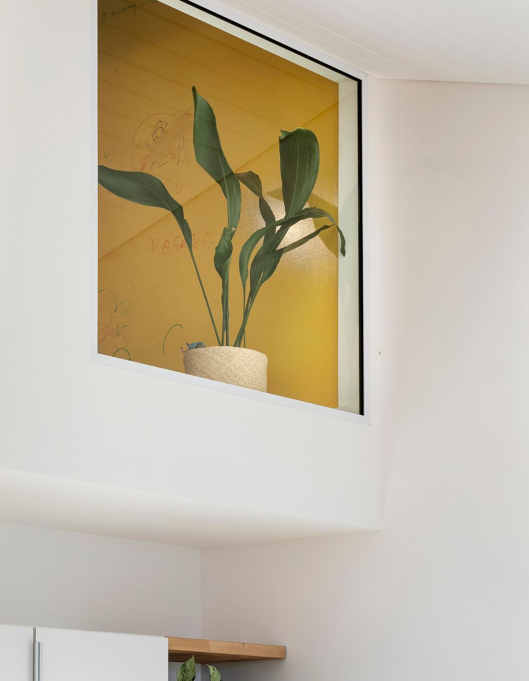 Team Green Passive House