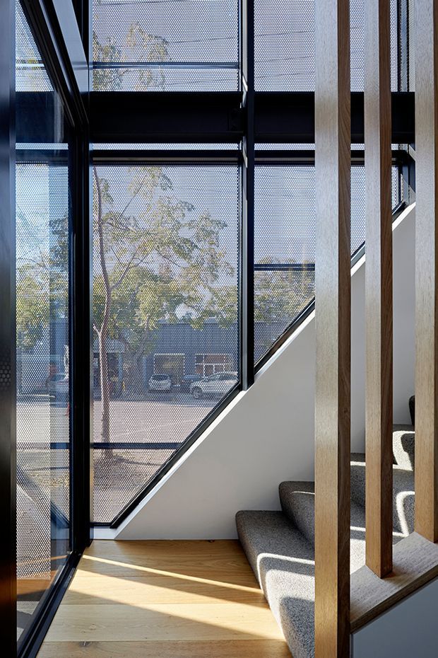 A contemporary interior stairway with carpeted steps, pale timber flooring, vertical timber balustrade elements, and expansive black-framed glazing screened with fine mesh. Strong sunlight enters through the windows, creating a bright, airy architectural space with views of trees and a street beyond.