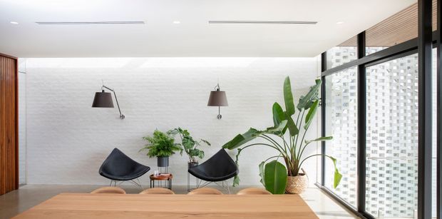 Bright contemporary dining area with a long light-wood dining table and chairs, two sculptural black lounge chairs, indoor tropical plants, a white textured feature wall, integrated wall lights, and expansive black-framed glazing with a patterned privacy screen. The room has a clean, airy, refined character with warm timber accents.