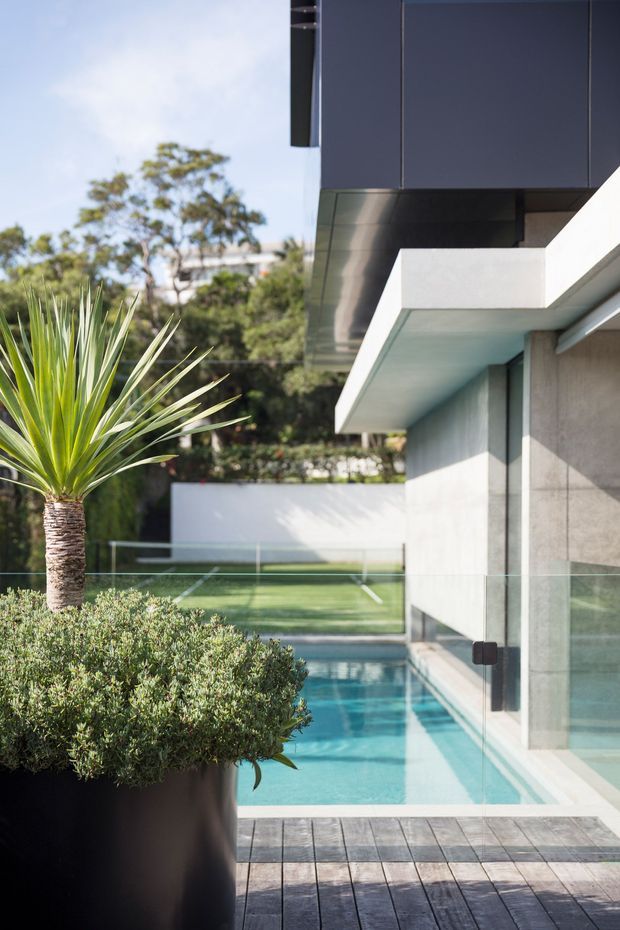 A contemporary residential exterior beside a narrow swimming pool, viewed along a timber deck. The image shows crisp white rendered walls, dark charcoal upper cladding, projecting flat eaves, frameless glass balustrading, and a landscaped courtyard with a large potted yucca and clipped shrubs. A lawn tennis court or sports area is visible in the background.