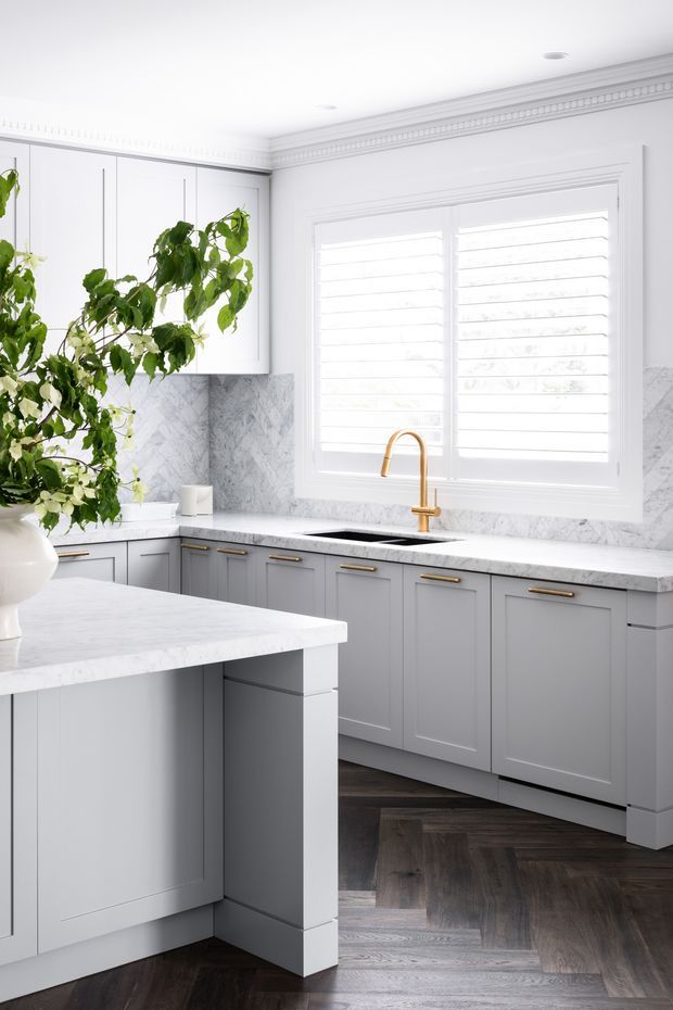 Bright, elegant kitchen with grey shaker-style cabinetry, white marble-look benchtops and backsplash, brass hardware and tapware, white plantation shutters, decorative ceiling cornice, and dark herringbone timber flooring. A central island occupies the foreground, with greenery adding a natural accent.