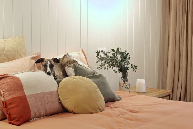 A warm, softly styled bedroom featuring a bed layered with blush pink bedding, neutral and terracotta cushions, and a small dog resting among the pillows. The room has white vertical wall panelling, full-height beige curtains, a timber bedside table, and a simple vase with leafy branches. Soft ambient lighting creates a calm, cozy atmosphere.