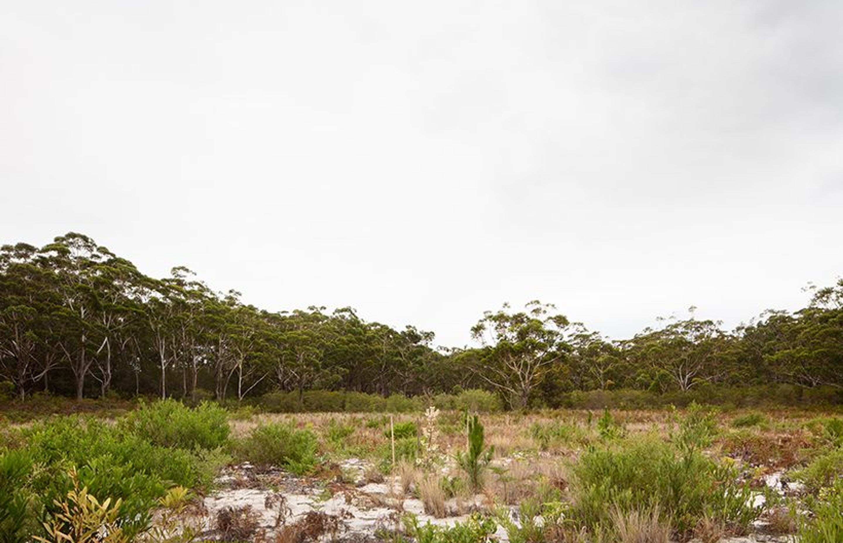 Courtyard House by CHROFI ArchiPro AU