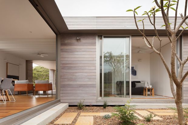 A contemporary single-storey courtyard-facing home with an open glazed living and dining area on the left and a recessed seating space on the right. Horizontal timber cladding surrounds a tall sliding glass door, while warm timber flooring, pale walls, integrated glazing, and a minimalist gravel-and-paver courtyard create a calm indoor-outdoor connection. A frangipani tree occupies the foreground.