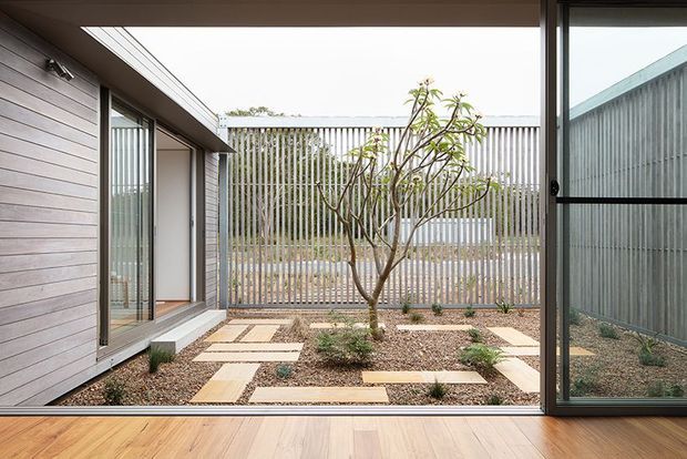 View from an interior space through full-height glazing into a minimalist enclosed courtyard. The courtyard features a central sculptural tree, gravel landscaping, and geometric stepping-stone paths, bordered by vertical slatted screening and weatherboard-clad walls. Warm timber flooring and dark-framed glazing are visible in the foreground.