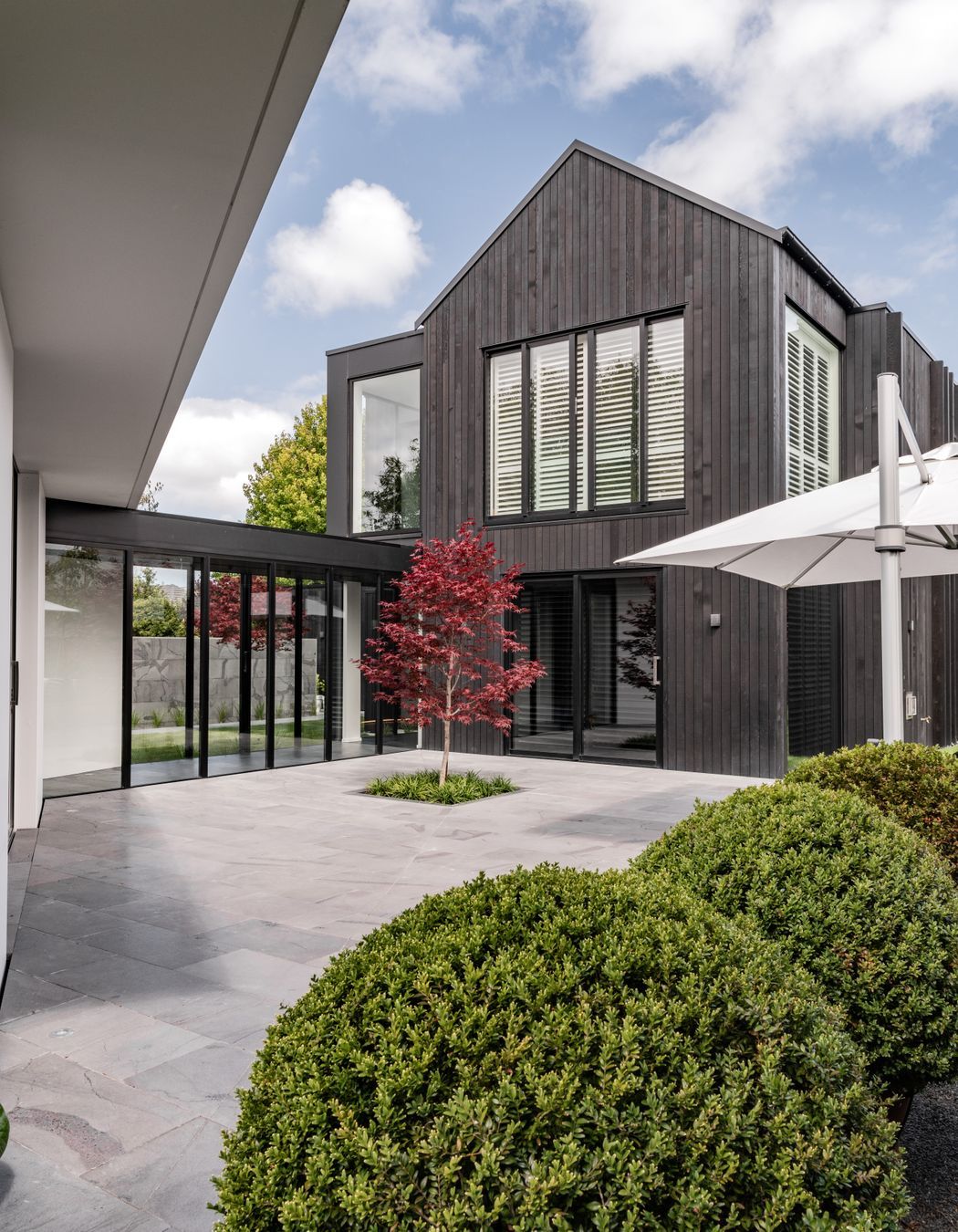 A single Japanese maple sits in the central courtyard.