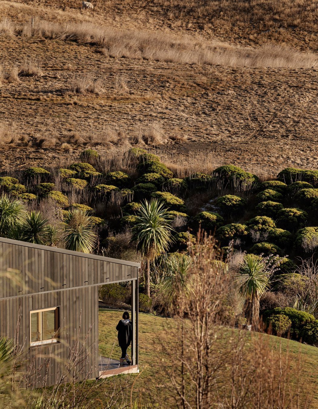 Team Green Passive House