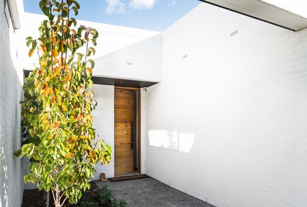 Bright minimalist residential entry courtyard with white-painted brick walls, a simple white roof canopy, and a tall natural timber pivot door set beneath a dark recessed overhang. A slender leafy tree occupies the planted bed beside the entrance, while gravel paving leads toward the doorway. Strong sunlight and an open sky-lit roof section create a clean, airy atmosphere.