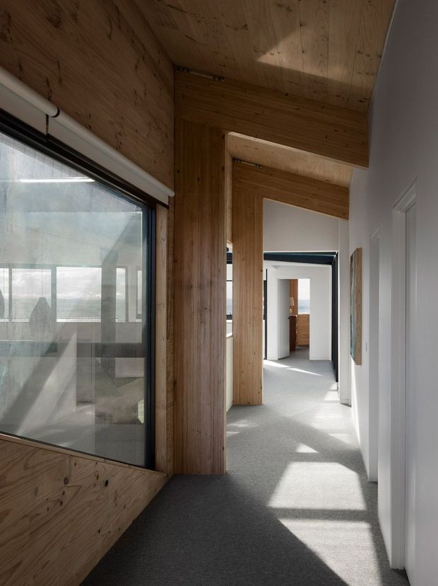 A contemporary residential hallway with a long carpeted floor, white walls and doors, and extensive warm-toned timber lining across the ceiling, window wall, and structural portal frames. Large glazing on the left brings in strong daylight and reveals another interior space, while the corridor extends toward additional rooms in the background.