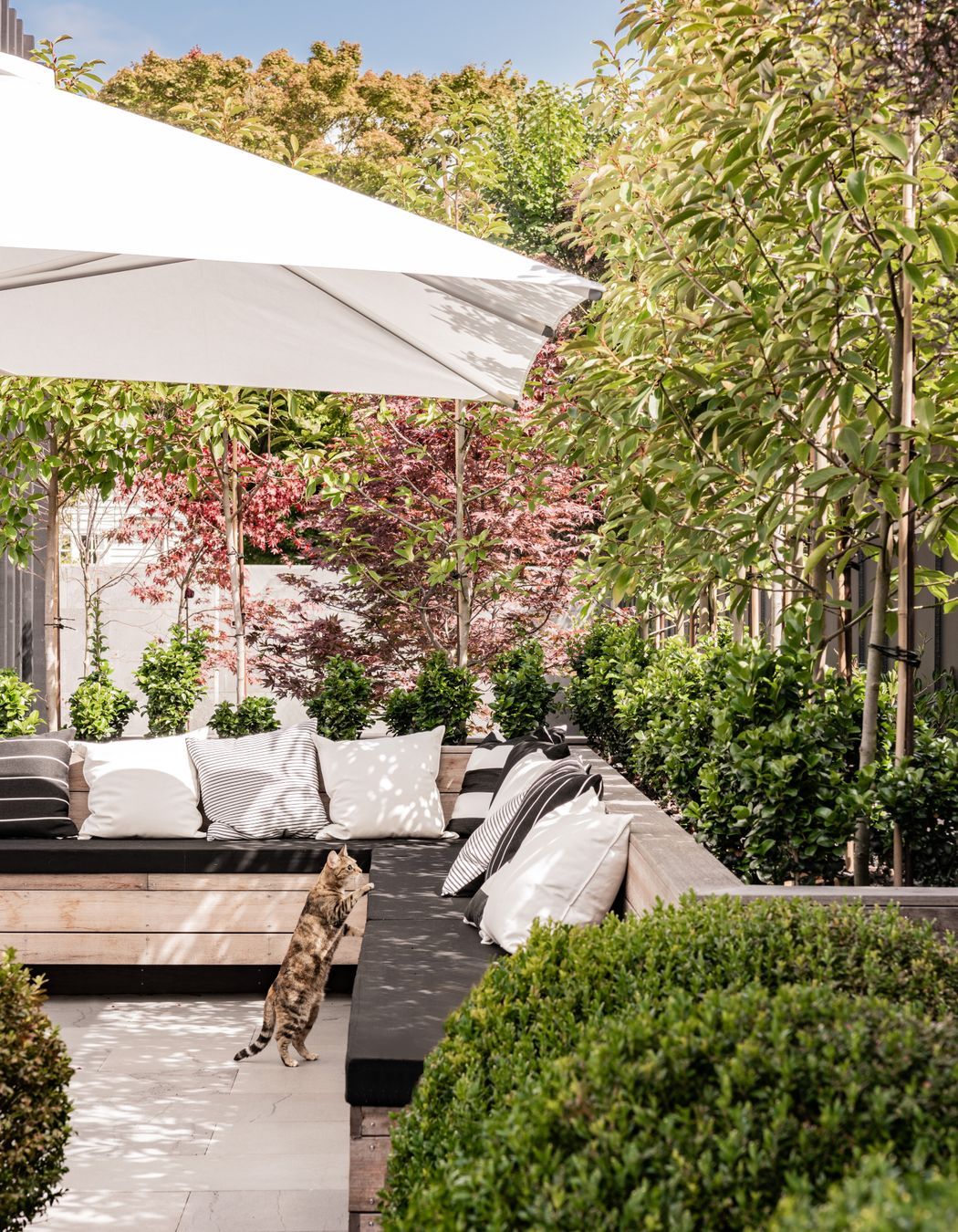 Landscaping surrounds an entertaining area at the side of the property.