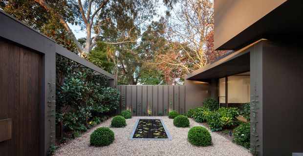 A landscaped courtyard framed by dark contemporary building forms, with vertical timber fencing, gravel ground cover, clipped spherical shrubs, lush planting, and a narrow rectangular reflecting pond at the centre. Eucalyptus and other mature trees rise beyond the courtyard, while warm interior lighting is visible through glazing on the right.