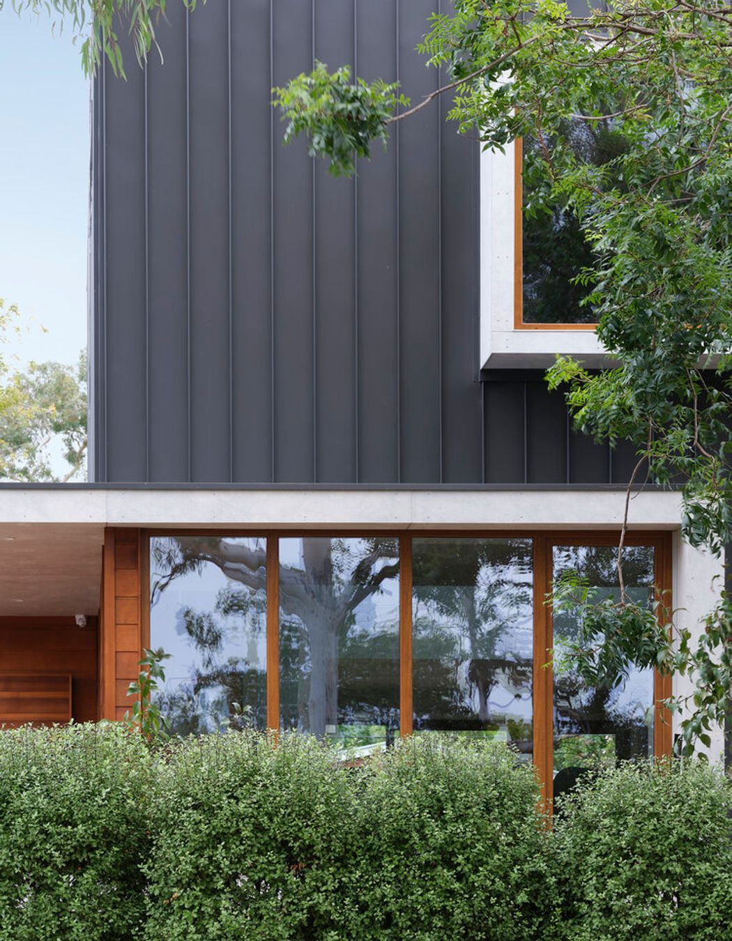 Meta-morphology - Duffy ACT