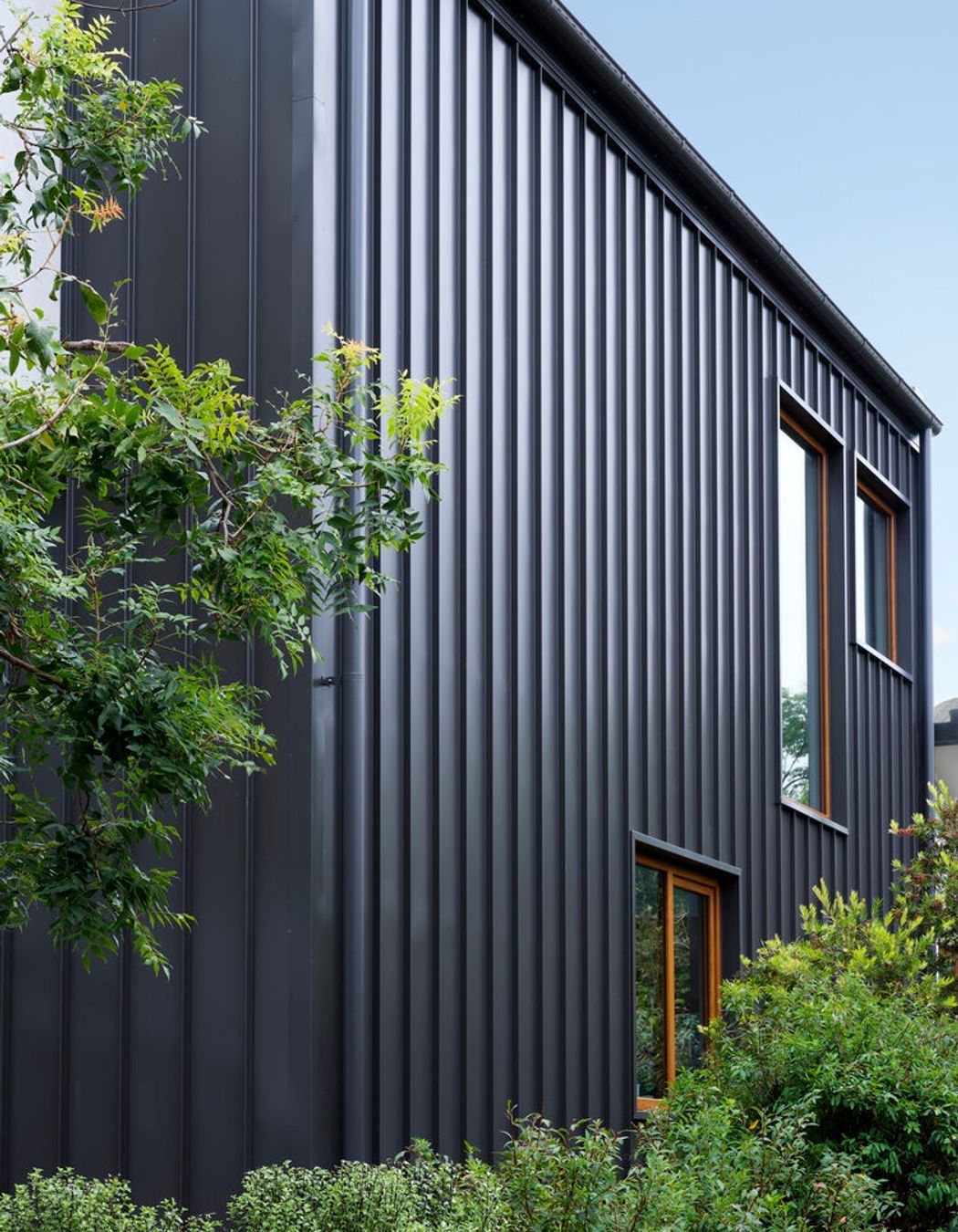 Meta-morphology - Duffy ACT