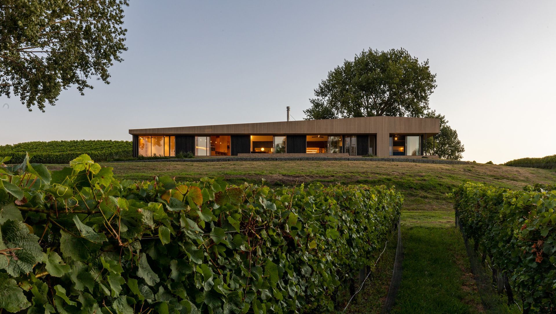 Black Beech House banner