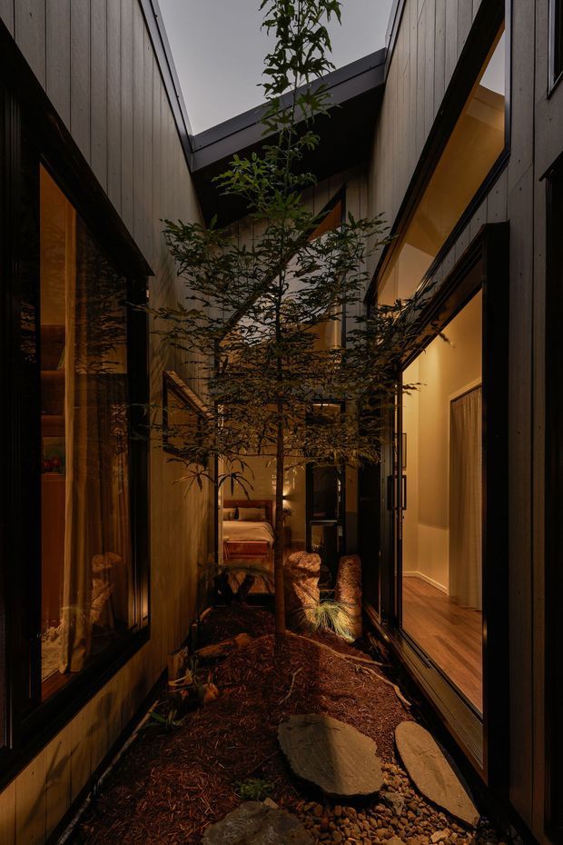 A narrow, atmospheric internal courtyard or garden passage between dark timber-clad wings of a contemporary home. A mature slender tree, planted beds, mulch, gravel and large stepping stones form the central landscape, while full-height glazing on both sides reveals warmly lit interior spaces and reflections. The courtyard is enclosed by tall walls and partially open to the overcast sky, creating a dramatic indoor-outdoor connection.
