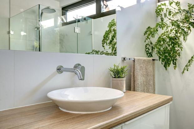 Bright contemporary bathroom featuring a vessel basin on a light timber vanity benchtop, wall-mounted chrome tapware, a frameless glass shower enclosure, large wall mirror, and abundant indoor greenery.