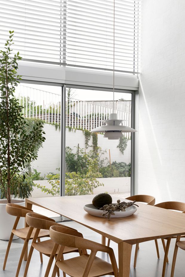 Bright contemporary dining area with a large light timber dining table and matching sculptural timber chairs. White painted brick walls, expansive floor-to-ceiling glazing, white horizontal blinds, and a modern pendant light create an airy, minimalist setting. An indoor tree and a planted courtyard visible through the glazing add greenery and soften the space.