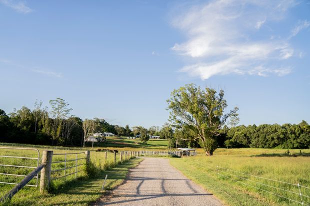 A rural gravel driveway leads through open pasture toward a small farmhouse and outbuildings, bordered by wire fencing and mature trees under a bright blue sky.