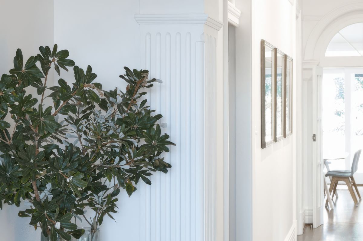 Mosman Federation Home