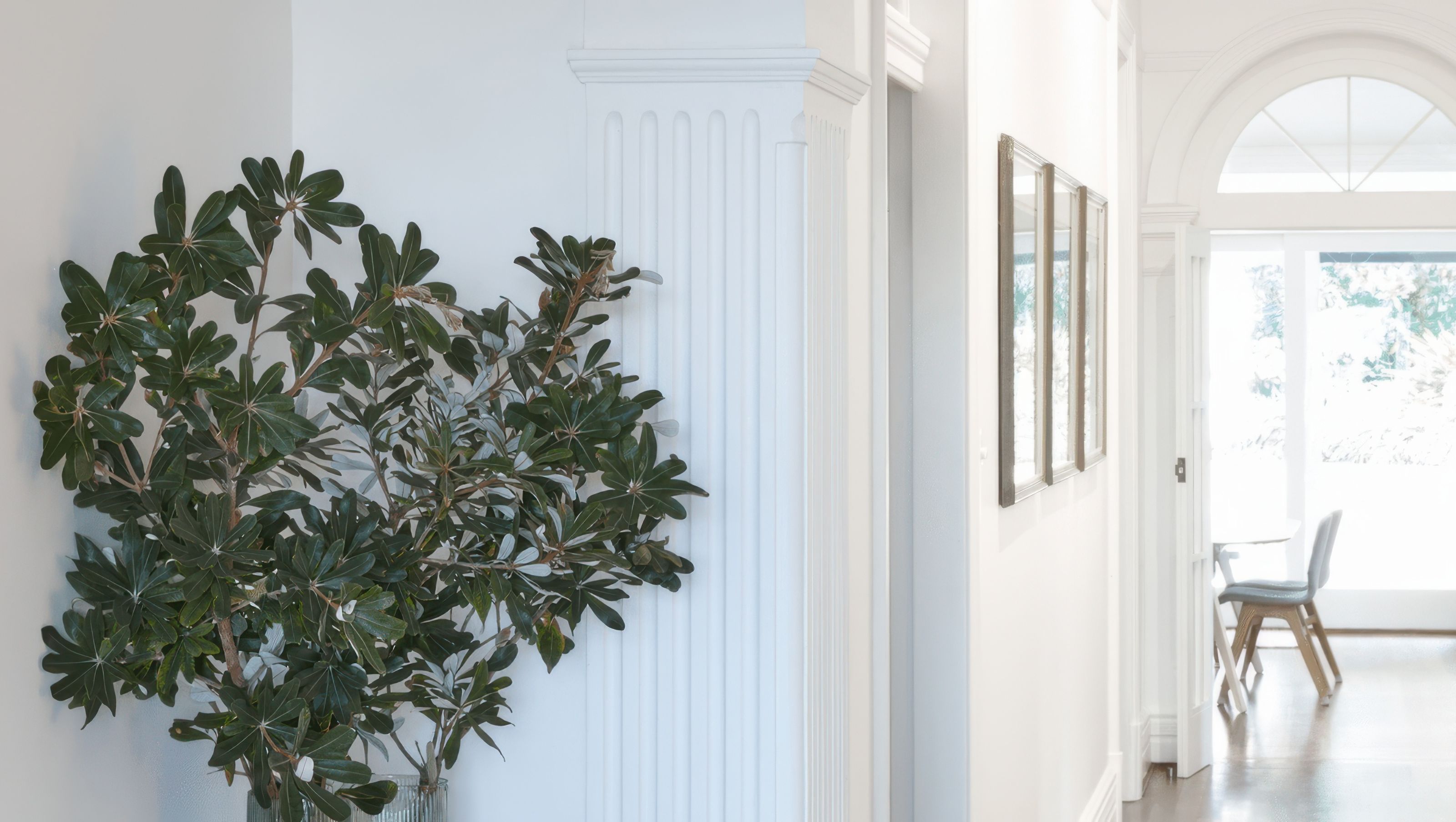 Mosman Federation home