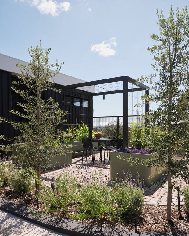 A landscaped rooftop or elevated outdoor courtyard terrace beside a contemporary black-clad building. The paved seating area includes a small outdoor dining table and chairs beneath a dark steel pergola, surrounded by raised planters, olive trees, flowering plants and garden beds. The scene is bright and sunny with a clean, modern architectural character.