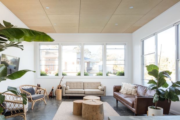 Bright, airy living room with white walls, expansive windows, a warm timber-panelled ceiling, and a polished concrete floor. The room is furnished with a neutral upholstered sofa, brown leather sofa, rattan lounge chairs, a natural wood coffee table, and large leafy indoor plants. The space has a relaxed contemporary feel with abundant natural light.