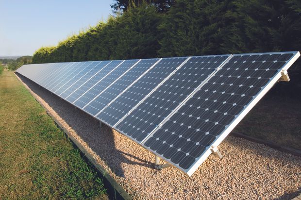 An outdoor ground-mounted array of dark photovoltaic solar panels arranged in long angled rows on a gravel bed, with a grassy field and dense evergreen hedge behind. The image focuses on renewable-energy infrastructure rather than an occupied building or room.