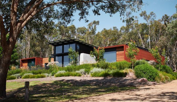 Single-storey contemporary house set within a wooded Australian-style landscape. The home features dark metal cladding and broad glazed openings, with prominent warm red-brown timber-clad wall volumes, a low-pitched roof, and a landscaped garden of grasses, shrubs, and mature eucalyptus trees.