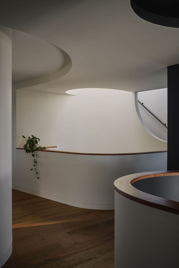 A sculptural curved stairway or landing interior with a sweeping white plaster ceiling, oval skylight, curved balustrade, dark timber handrail, and warm timber flooring. A curved stair opening and metal stair railing are visible at right, with subtle integrated architectural lighting and a trailing indoor plant.