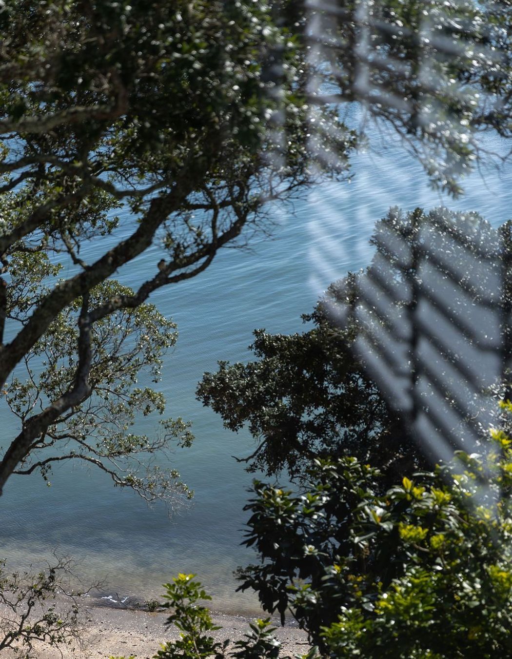 Sarsfield Street residence