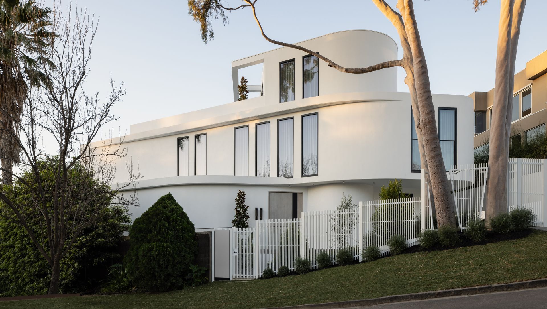 Matteo x Trinity. The House of Curves. banner