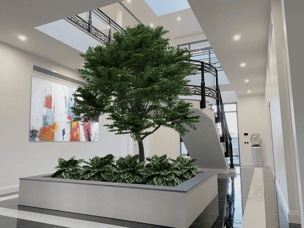 A bright, contemporary interior atrium featuring a large built-in planter with a mature indoor tree and low greenery. A sculptural curved staircase with dark metal balustrades rises behind it, while skylights and a glazed upper-level void bring in natural light. The space has smooth light walls, recessed downlights, glossy dark-and-light tiled flooring, and a colourful abstract artwork.