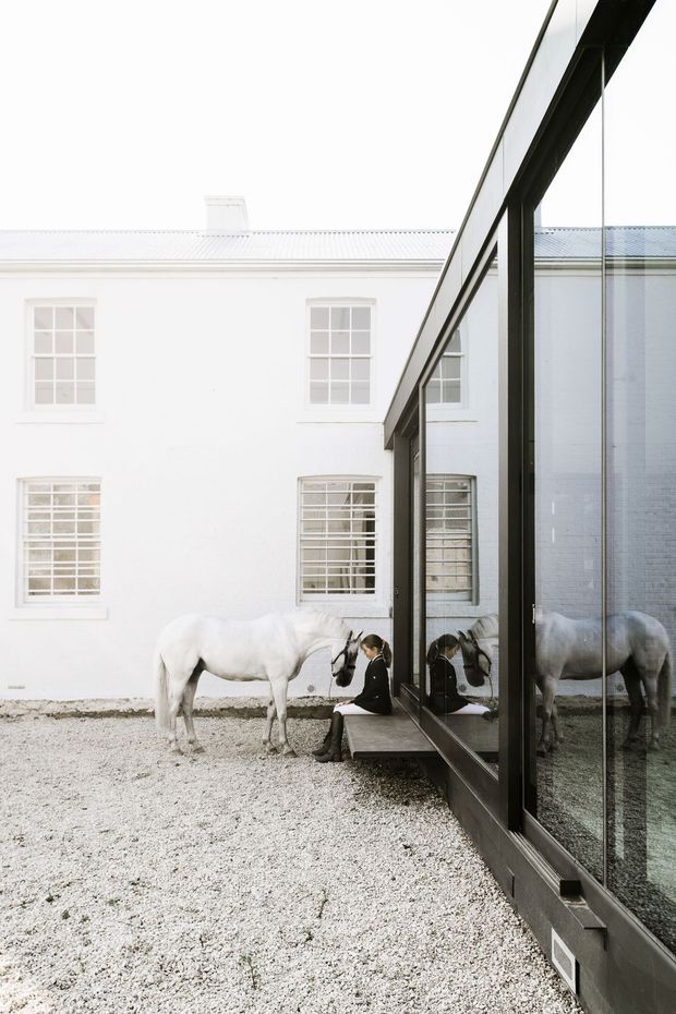 A bright courtyard scene beside a white rendered masonry building with tall multi-pane windows and a pale corrugated metal roof. A dark-framed, floor-to-ceiling glazed extension runs along the right side, creating strong reflections of the courtyard, horse, and seated person. The ground is covered in light gravel, and a white horse stands near the glazed facade.