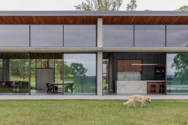 A low, minimalist contemporary house viewed from the lawn, with a long horizontal facade, extensive floor-to-ceiling glazing, exposed concrete structural columns, and a flat roof with a warm timber soffit. The open-plan interior is visible through the glass, including a dining area and a dark timber kitchen with a marble-look island. A swimming pool and landscaped grounds appear beyond the glazing, while a dog crosses the foreground.