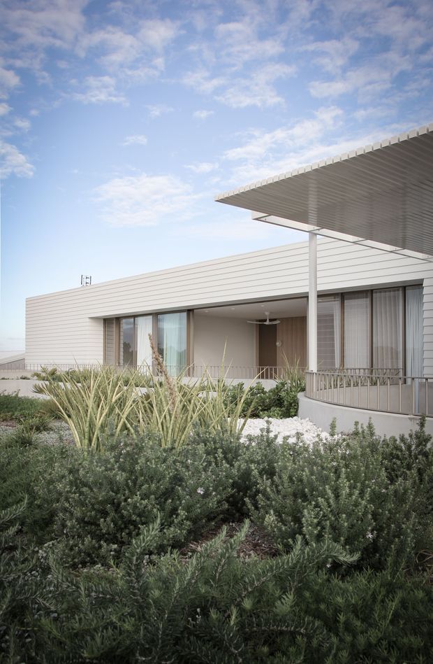 Exterior view of a low, single-storey contemporary residence with horizontal light-coloured cladding, broad floor-to-ceiling glazing, a deep flat roof overhang, and a covered terrace with slim metal balustrade. The building is surrounded by dense, drought-tolerant coastal-style planting and gravel landscaping under a bright sky.