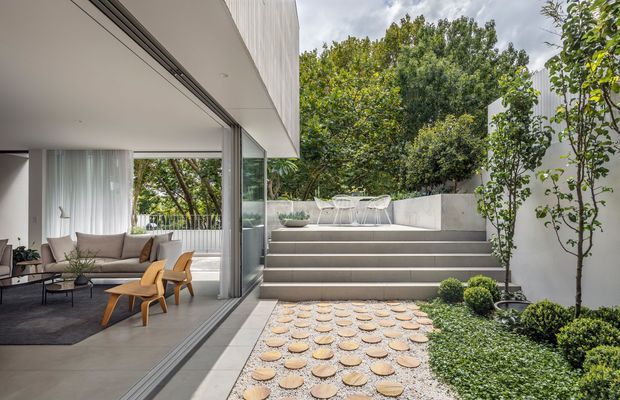 A contemporary indoor-outdoor living space opening onto a landscaped courtyard. The interior features a neutral sofa, timber lounge chairs, a low coffee table, sheer curtains, and large sliding glass doors. Outside, broad concrete steps lead to an elevated terrace with outdoor dining furniture, while rounded stepping stones, clipped shrubs, and small trees create a structured garden. The architecture is clean-lined with a flat roof, white walls, and extensive glazing.