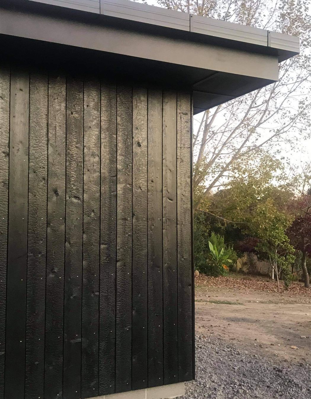 Millar Rd, Hawkes Bay - Charred Siberian Larch