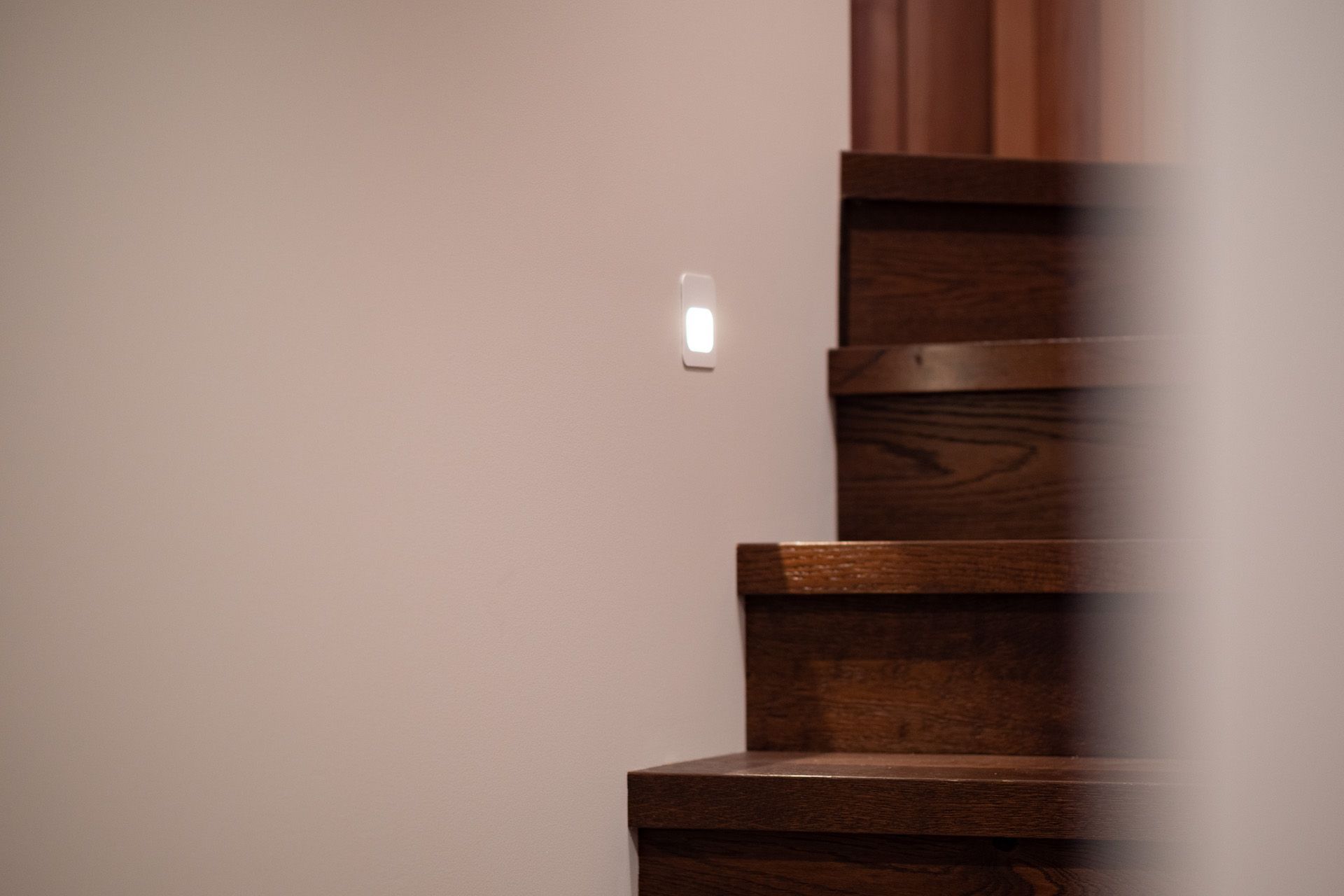 Bayside Designer Homes - Headland Drive