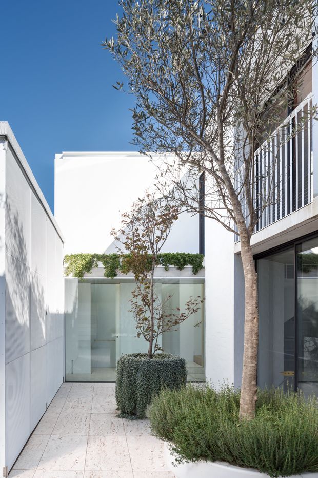 A narrow, contemporary landscaped courtyard between white buildings. Pale stone paving leads to a glazed entry or interior space at the rear, with raised planters, clipped shrubs, ornamental trees and dense low planting. The surrounding architecture has crisp white rendered walls, dark-framed glazing, and a white vertical balustrade. Bright daylight and a clear blue sky create a clean, serene atmosphere.