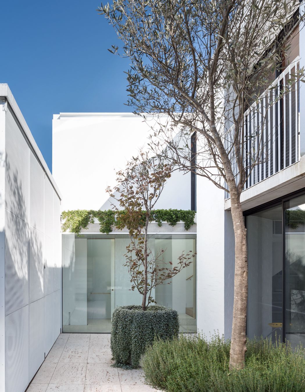 Woollahra Terraces, Sydney