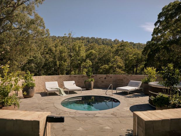 A sunlit elevated outdoor terrace with an organically shaped swimming pool, pale stone paving, low rendered or masonry privacy walls, and several white loungers. Large mature trees and a wooded hillside form the backdrop, creating a secluded natural setting.